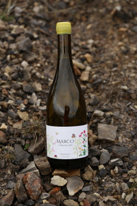 2023 Marco Lubiana Derwent Valley Chardonnay