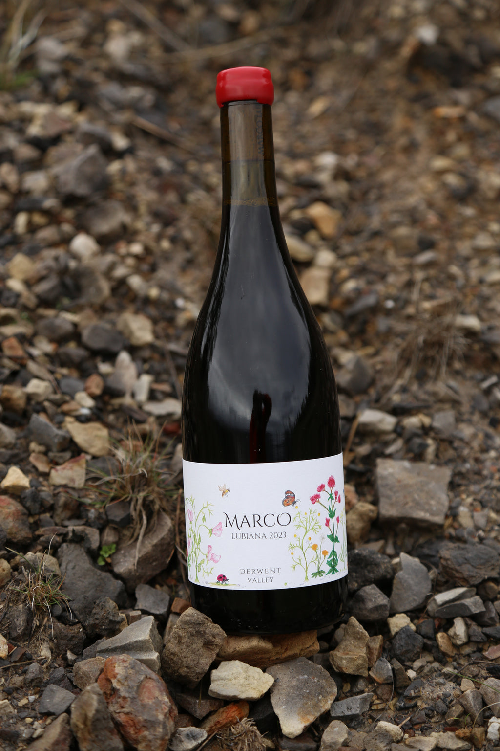 2023 Marco Lubiana Derwent Valley Pinot Noir