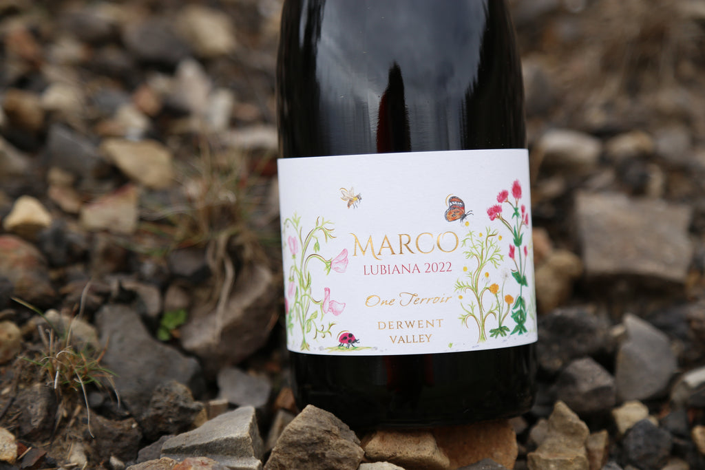 2022 Marco Lubiana One Terroir Pinot Noir